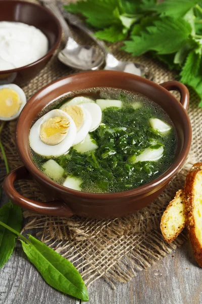 Soup of sorrel and nettles with eggs — Stock Photo, Image