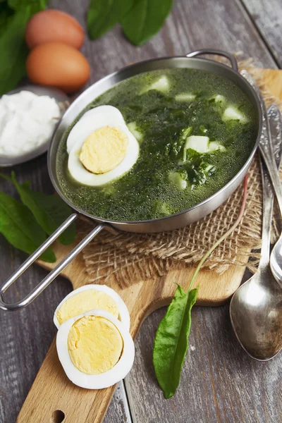 Sopa de acedera con huevo — Foto de Stock