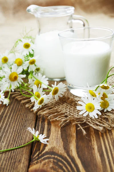 Milk and chamomile — Stock Photo, Image