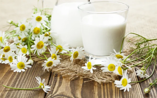 Milch und Kamille — Stockfoto