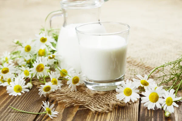 Latte e camomilla — Foto Stock