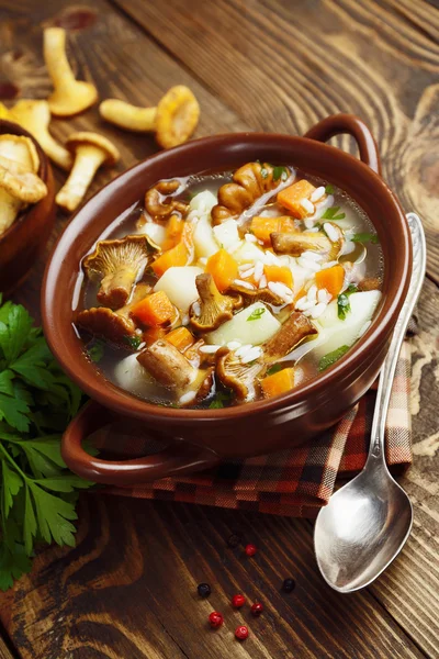 Sopa de cogumelos — Fotografia de Stock