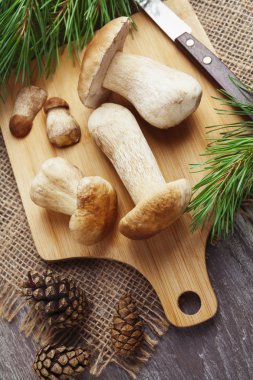 Boletus mantarı kesme tahtası üzerinde