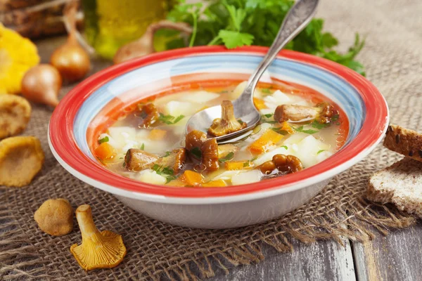 Sopa de setas — Foto de Stock