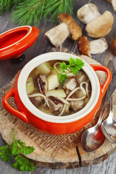 Pilzsuppe — Stockfoto