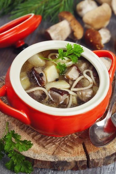 Soupe aux champignons — Photo