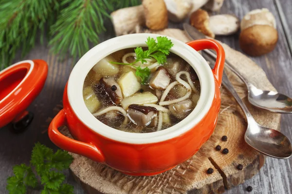 Mushroom soup — Stock Photo, Image