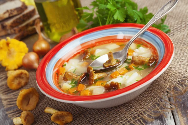 Sopa de cogumelos — Fotografia de Stock