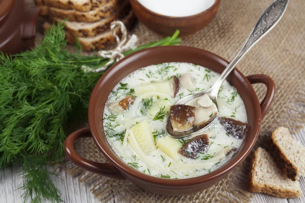 Sopa de cogumelos — Fotografia de Stock