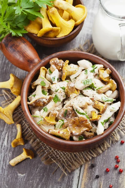 Filé de frango com chanterelles e creme — Fotografia de Stock