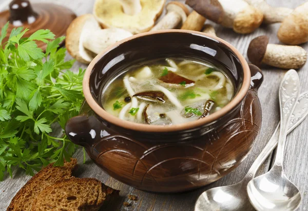 Zuppa di funghi — Foto Stock