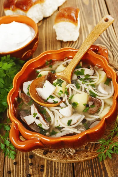 Pilzsuppe — Stockfoto