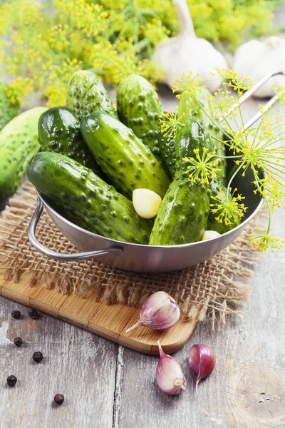 Canned cucumbers — Stock Photo, Image