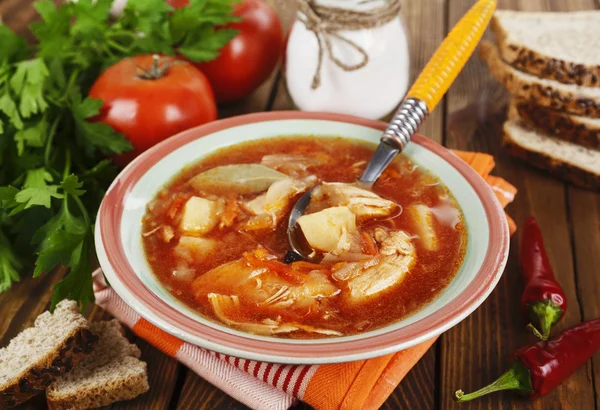 Sopa com repolho e carne — Fotografia de Stock