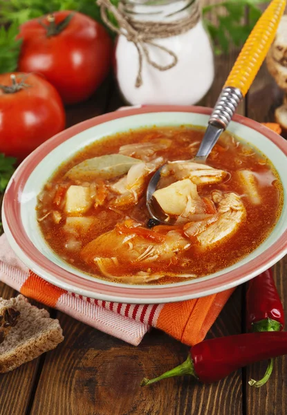 Sup dengan kubis dan daging — Stok Foto