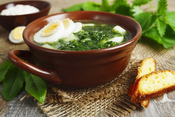 Soup of sorrel and nettles with eggs — Stock Photo, Image