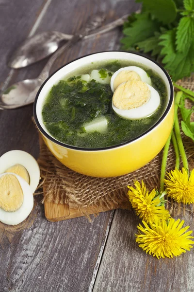 Soup of nettles with eggs — Stock Photo, Image