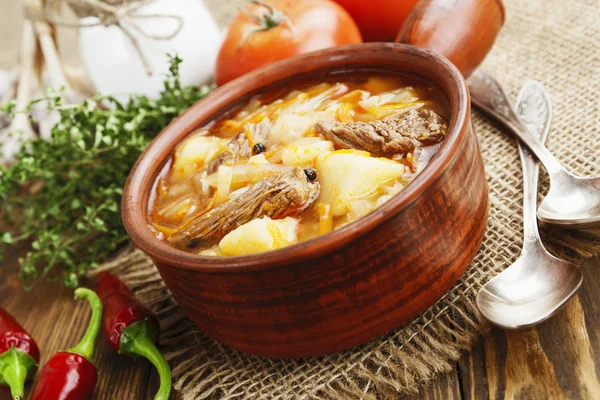 Soup with cabbage and meat — Stock Photo, Image