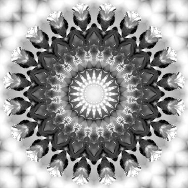 Çiçeksel kaleydoskopik desen. Tek renkli geometrik süsleme. Mandala. Soyut siyah beyaz arkaplan