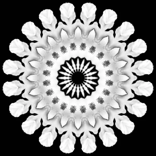 Bloemen Caleidoscopisch Patroon Monochroom Geometrisch Ornament Mandala Abstract Zwart Wit — Stockfoto