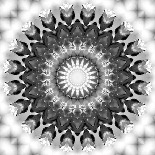 Padrão Caleidoscópico Floral Ornamento Geométrico Monocromático Mandala Abstrato Fundo Preto — Fotografia de Stock