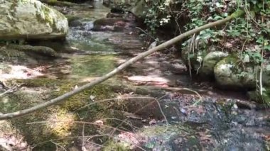 Marche bölgesindeki Secchiano 'daki Fosso di Teria şelalesinin yolu boyunca akın
