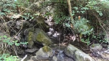 Dağlardaki kayaların arasında akarcasına