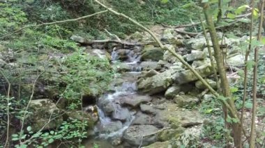 Fosso di Teria şelalesinin yolu boyunca akarsu.   