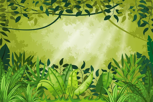 Ilustración selva paisaje — Vector de stock