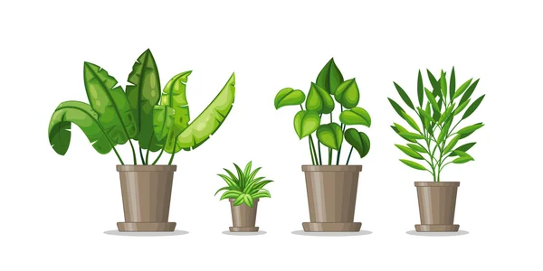 Zestaw z czterech roślin doniczkowych — Wektor stockowy