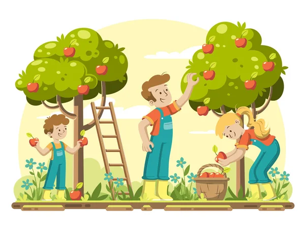 Joven familia recogiendo manzanas — Vector de stock