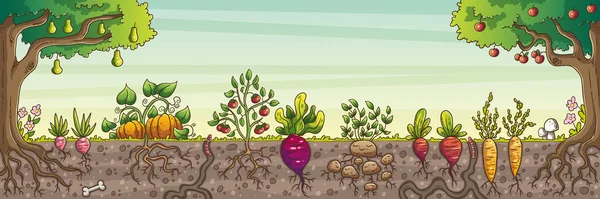 Produtos hortícolas e frutas Ilustração De Stock