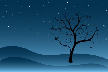 ağaç, gece