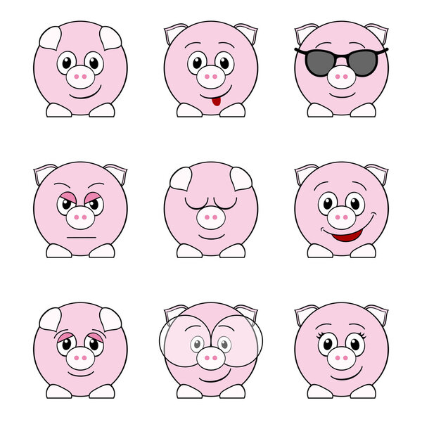 Funny pigs