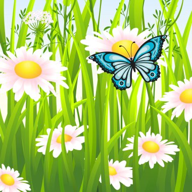 Kelebek ile yaz çiçek çayır