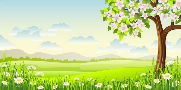 Çiçekli ağaç ve çiçeklerle bahar panorama manzara