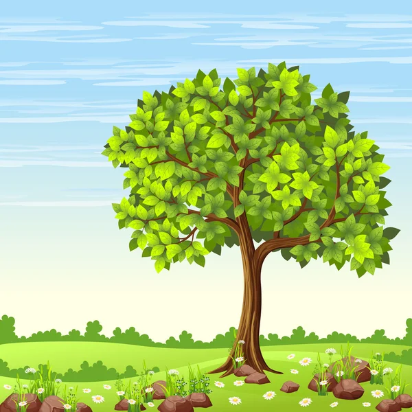 Paisaje de verano con árboles y flores — Vector de stock