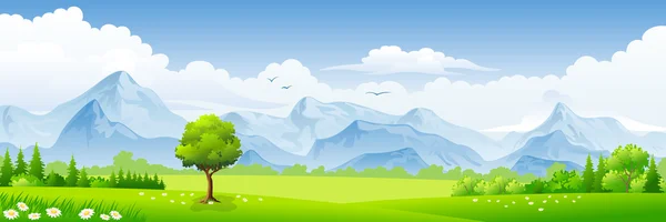 Летний пейзаж с лугами и горами — стоковый вектор