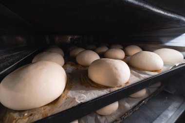 Hamburger çörekleri fırında. Endüstriyel fırın Fırın, kendi yapımı..