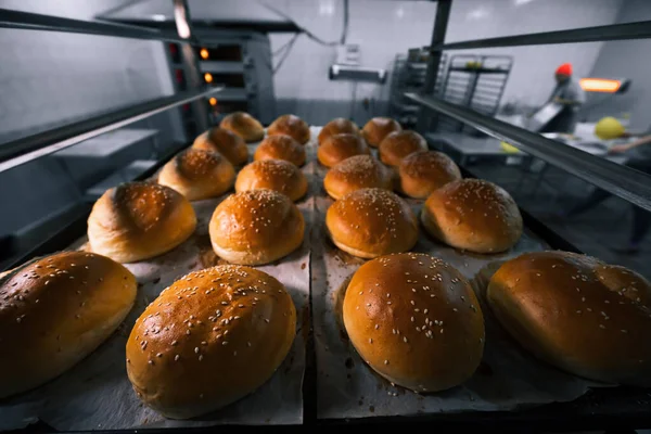 Hamburger çörekleri raflarda, yemek çarşaflarında serinliyor. Fırın üretimi. Büyük miktarda. Ürün siparişleri. Pişir. Seçici odak