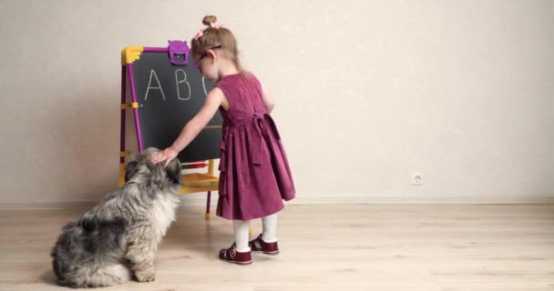 Küçük bir kız öğretmen okulda köpeğiyle oynuyor ve ona İngilizce mektuplar gösteriyor. Köpek yanıma oturdu ve tahtaya bakmadı. — Stok video