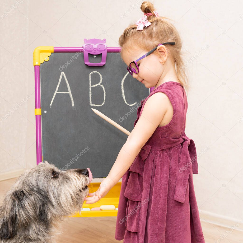 little girl teacher plays with her dog in school and shows her English letters . She praises and pats her. The dog licks her hand