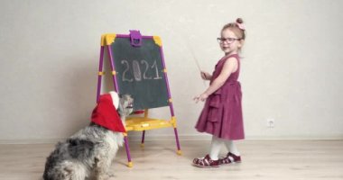 Küçük bir kız öğretmen okulda köpeğiyle oynuyor ve ona İngilizce mektuplar gösteriyor. Köpek arka ayaklarının üzerine oturur ve dikkatle dinler. Kız çok dikkatli bir şekilde açıklıyor ve tahtadaki her şeyi gösteriyor. Köpek onu dinler.