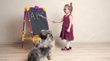 Küçük bir kız öğretmen okulda köpeğiyle oynuyor ve ona İngilizce mektuplar gösteriyor. Köpek yanıma oturdu ve tahtaya bakmadı.