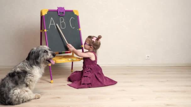 Una pequeña maestra juega con su perro en la escuela y le muestra sus cartas en inglés. La chica está cansada y se sienta en el suelo junto a la pizarra — Vídeo de stock