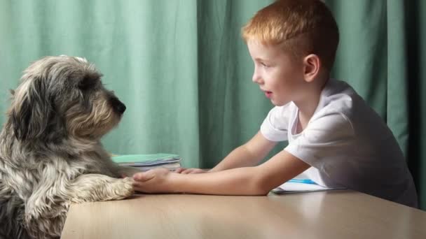 Een roodharige jongen die aan een bureau zit en huiswerk maakt voor school. een shaggy hond zit naast hem en de jongen streelt de huisdieren vacht en neus, glimlachend — Stockvideo