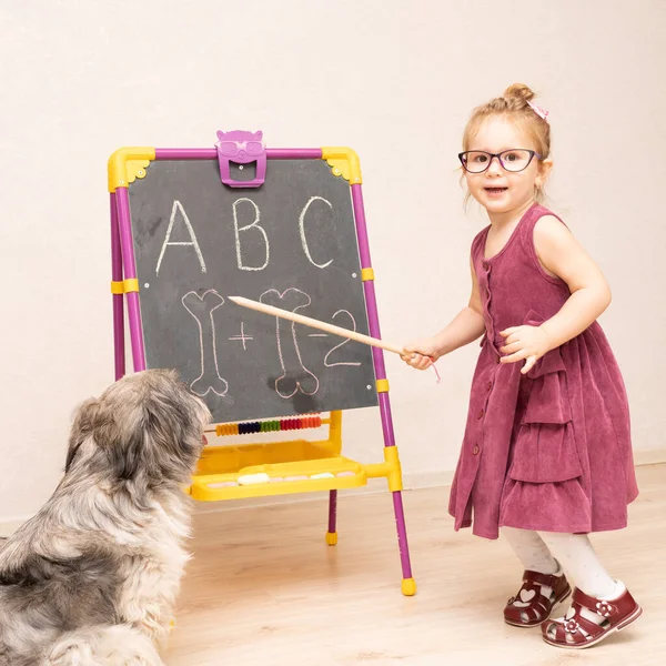 little girl teacher plays with her dog in school and shows her English letters . The dog sits on its hind legs and listens carefully