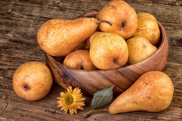 Pears Thanksgiving still life — Stock Photo, Image