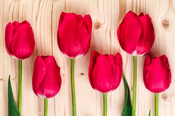 Tulipan wiersz drewniane tła — Zdjęcie stockowe