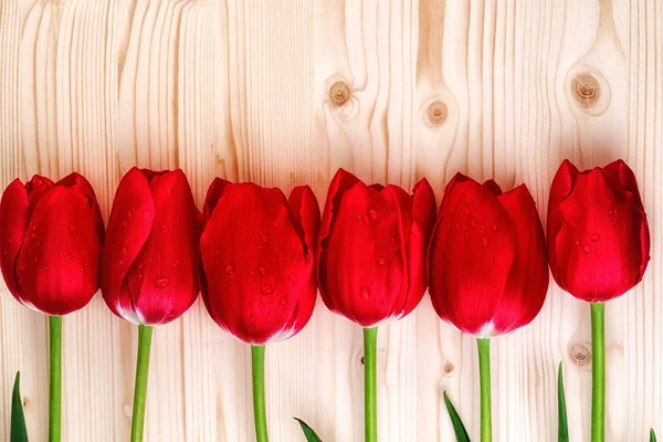 Tulipanes rojos en línea sobre fondo de madera —  Fotos de Stock